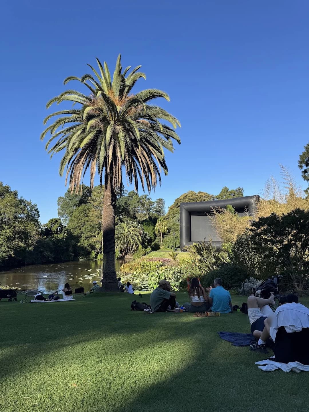 2月19日 — Royal Botanic Gardensの芝生とヤシの木