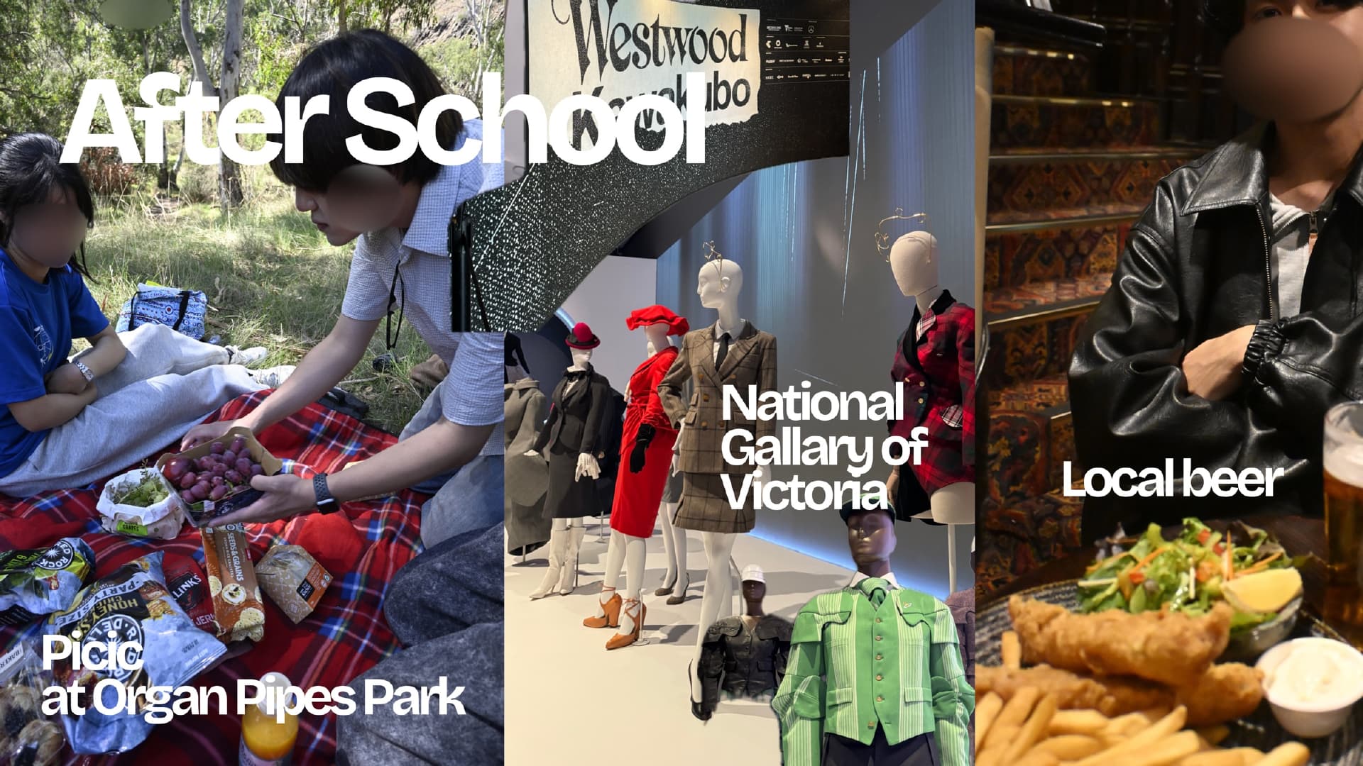 Organ Pipes National Parkでのピクニック、National Gallery of Victoria、食事をまとめた報告スライド