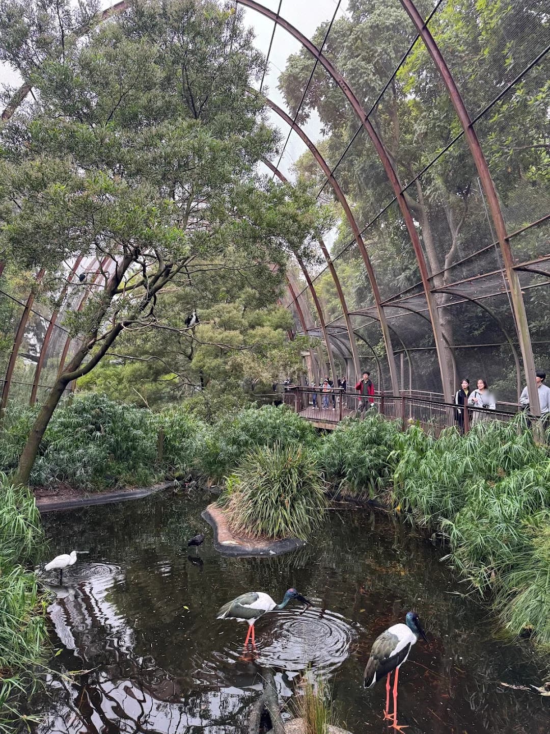 3月19日 — 水辺の鳥と緑に囲まれた展示空間